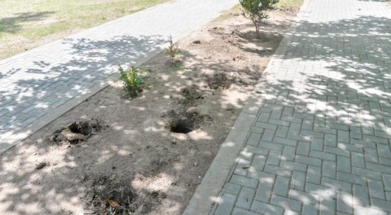 Robo de plantas en el parque Sarmiento (Municipalidad de Córdoba)