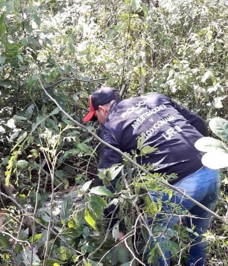 Incautaron 80 kilos de marihuana en Santiago de Liniers. (Foto: Policía de Misiones)