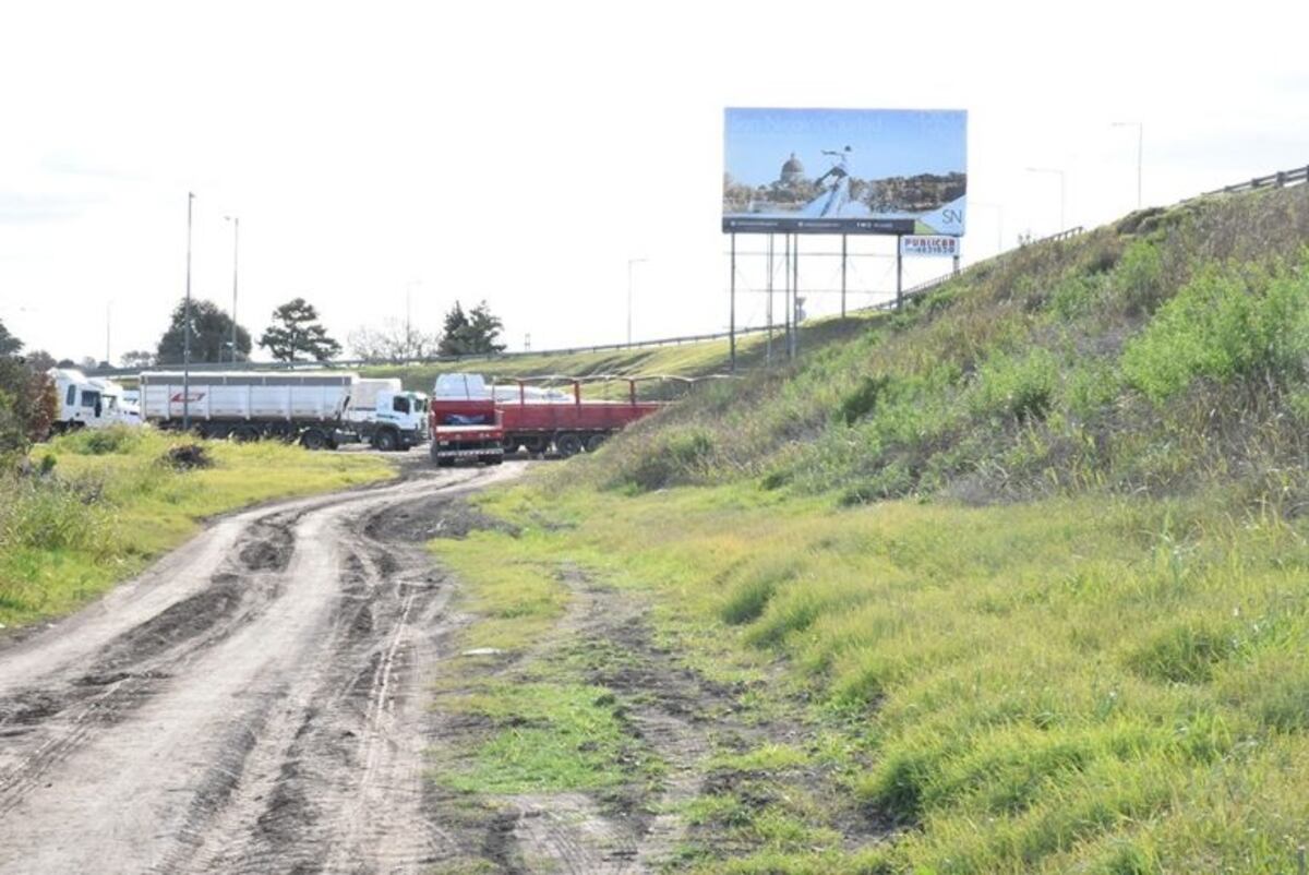 Macabro hallazgo: encontraron sin vida a una beba entre pastizales en zona sur