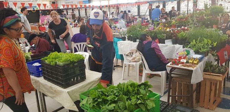 Ferias de precios bajos (Foto de Archivo)