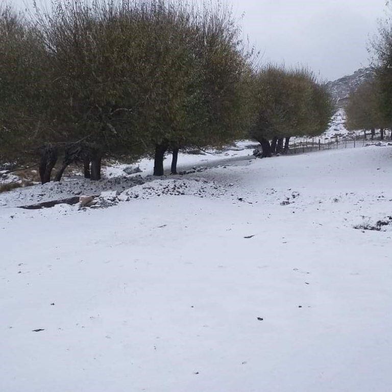 Anuncian posible nevad en las Altas Cumbres para este jueves. (Foto: gentileza La Voz).