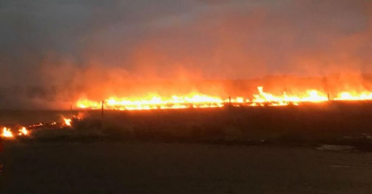 Combaten dos importantes incendios en Córdoba