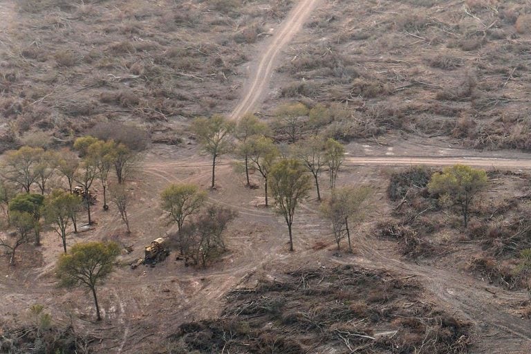 La ONG ambiental sobrevoló la provincia documentando los desmontes