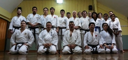 Karate de Tierra del Fuego