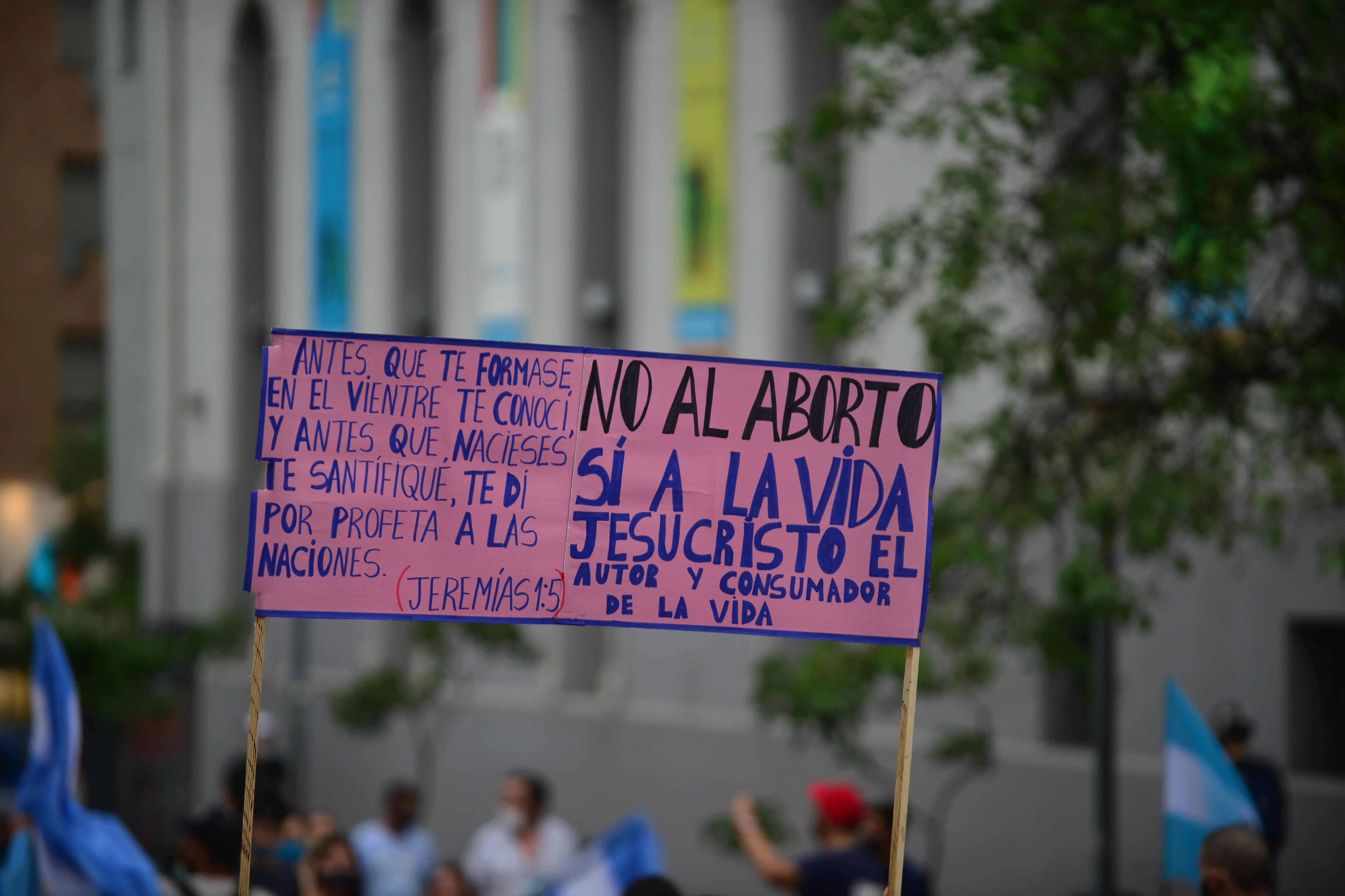 Numeroso grupo de personas marchó en Córdoba contra la legalización del aborto.