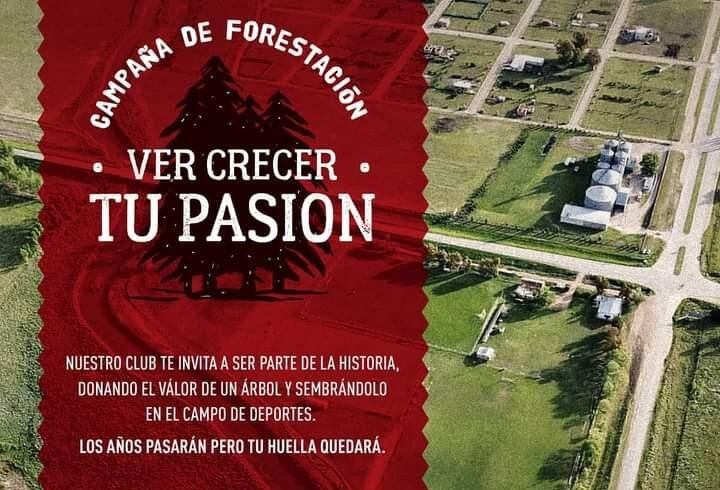 Campaña de reforestación del predio deportivo de Huracán