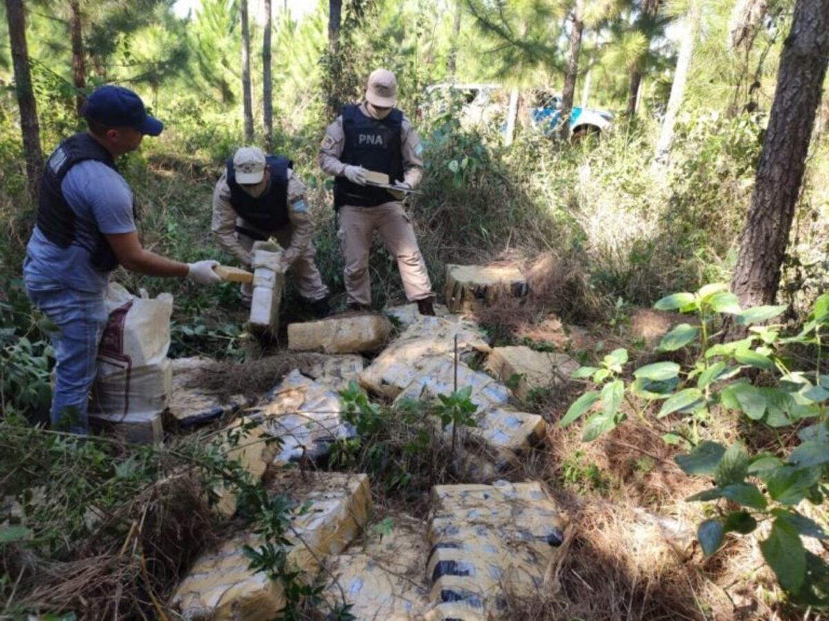 Prefectura incautó más de 730 kilos de marihuana en Puerto Libertad
