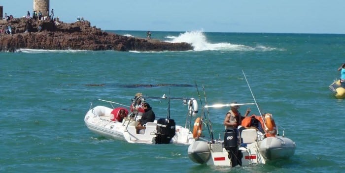 Fiesta del Salmón en Camarones