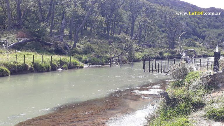 Insólito: un empresario fueguino se adueñó del Río Olivia y lo alambró  - Ushuaia. Fotos: Latdf.