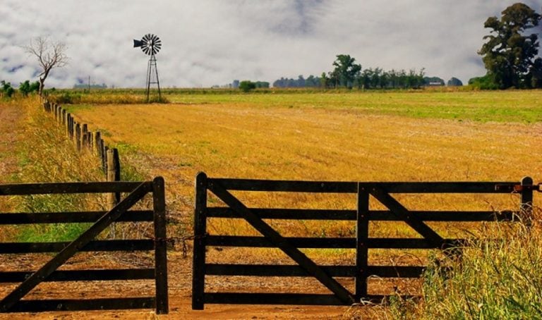 Censo Nacional Agropecuario (Web)