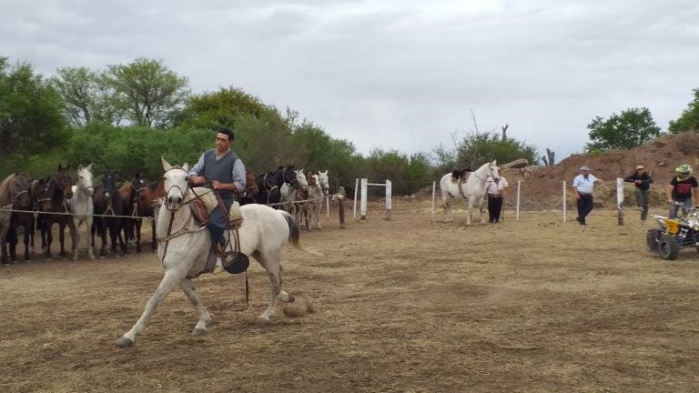 Expo pampa de Pocho