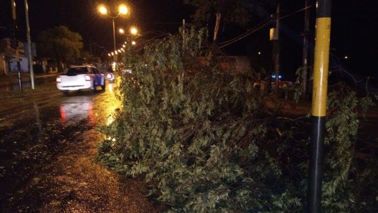 Destrozos por la tormenta