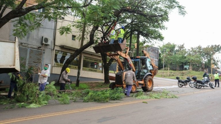 Poda de árboles en las zonas sur y norte de la ciudad de Posadas donde se juntaron unos 10.000 kilos de ramas, hojas y troncos.