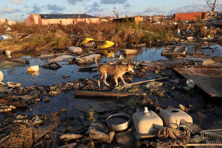 Great Abaco, Bahamas, 8 de septiembre (AP Photo/Fernando Llano).