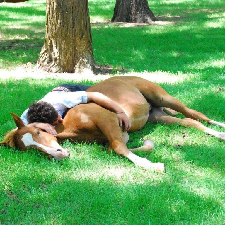 Amor entre hombre y caballo. En la primera experiencia, Marcos, aprendió que la confianza en el caballo, es una de las cosas más importantes.