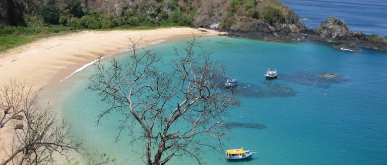 Praia Do Sancho (Pernambuco, Brasil).