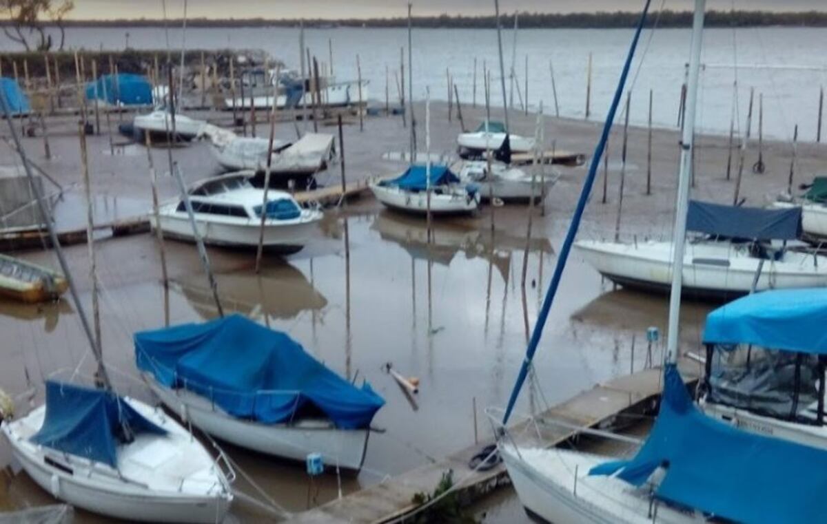 Por la pronunciada bajante del río, hay medio centenar de embarcaciones varadas