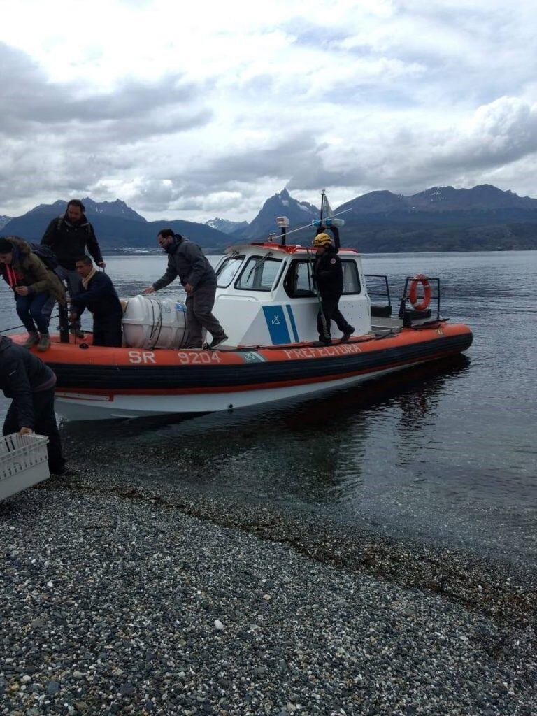 Isla Conejo. Ushuaia.