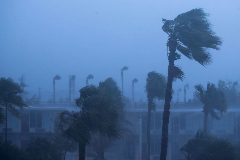 ORMOND BEACH, FL - OCTOBER 7: Palm trees blow in the rain and wind from Hurricane Matthew, October 7, 2016 in Ormond Beach, Florida. Overnight, Hurricane Matthew was downgraded to a category 3 storm.   Drew Angerer/Getty Images/AFPn== FOR NEWSPAPERS, INTERNET, TELCOS & TELEVISION USE ONLY ==