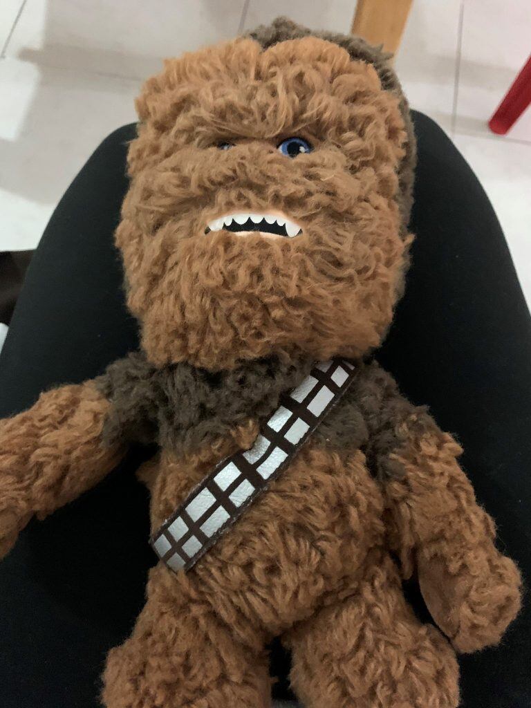 Lavó un peluche de Chewbacca y el resultado es sorprendente (Twitter: @LIRIO_AG)