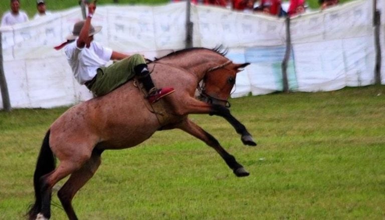 Festival del Caballo Criollo en El Fuerte