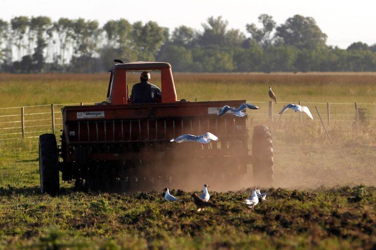 Toda la información del campo en un solo lugar  (Foto: Bloomberg/AP)