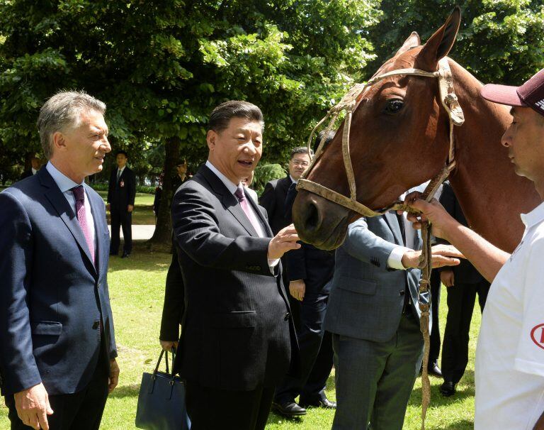 El presidente de China, Xi Jinping, toca un caballo de polo que le regaló la Asociación de Polo de Argentina, mientras el presidente de la República, Mauricio Macri, lo recibe en la residencia presidencial de Olivos en un suburbio del norte de Buenos Aires (AP).