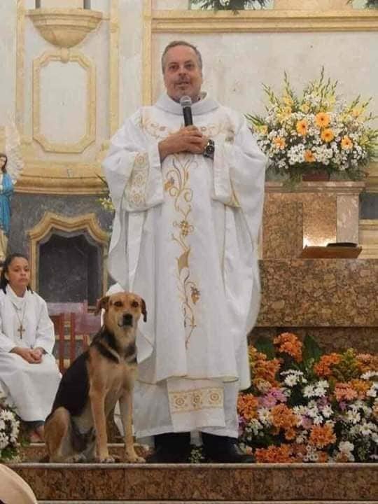 El párroco y su amor por los perros (Foto: Facebook/PadreJoao Paulo Araujo Gomes).