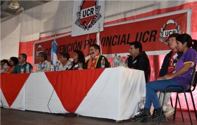 Las áreas de juventud y trabajadores radicales sumaron sus aportes al plenario de la UCR provincial.