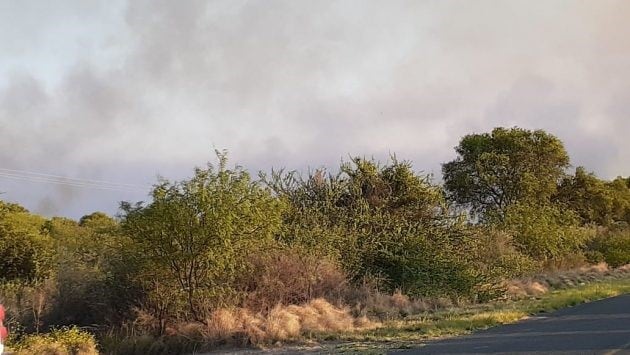 El incendio forestal se desató el jueves.