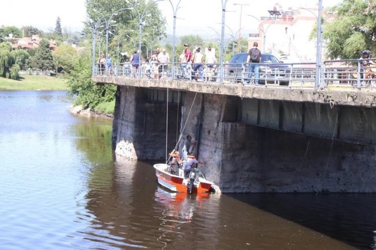 Colocaron guías para frenar el avance de las algas en el Puente Carena.