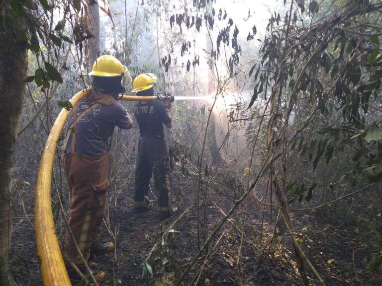 Incendio en las 2000 Hectáreas de Puerto Iguazú.