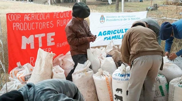 El grano fue distribuido entre los criadores de chivas del oeste pampeano (Infopico)