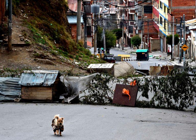 Foto: AFP.