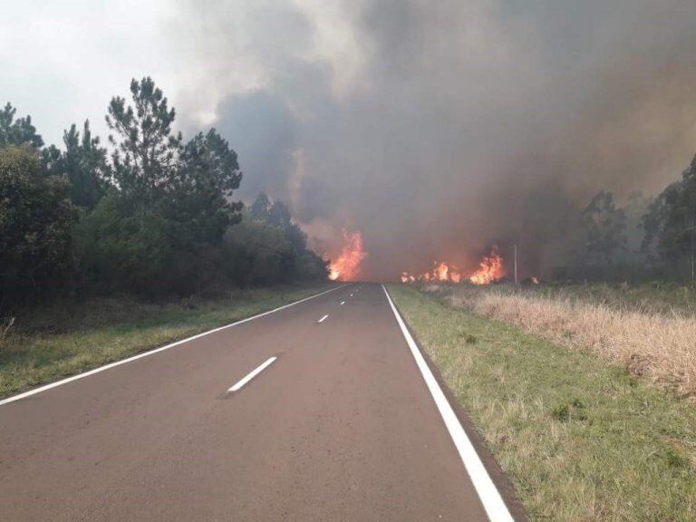 El fuego cruzó la ruta en la zona de Santa Rosa.