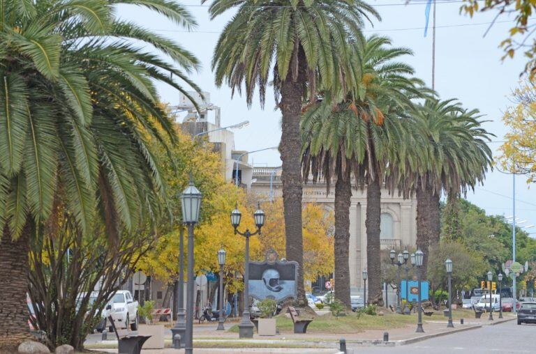 Los canteros centrales, una de las mayores preocupaciones del proyecto(Mario Liotta / Todo un palo Producciones)