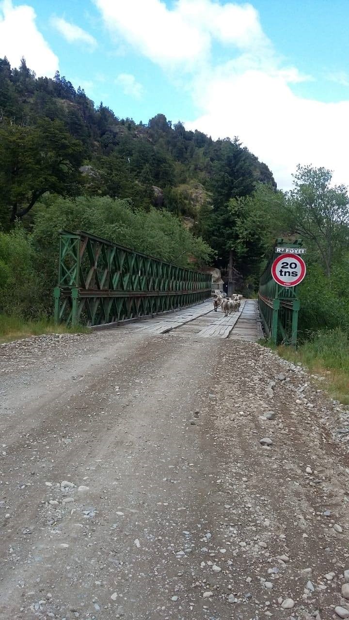 Puente Verde, altura donde el hombre cayó al Rio Foyel.