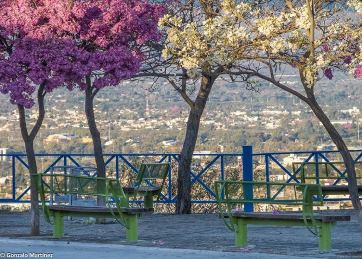31° de máxima en Catamarca