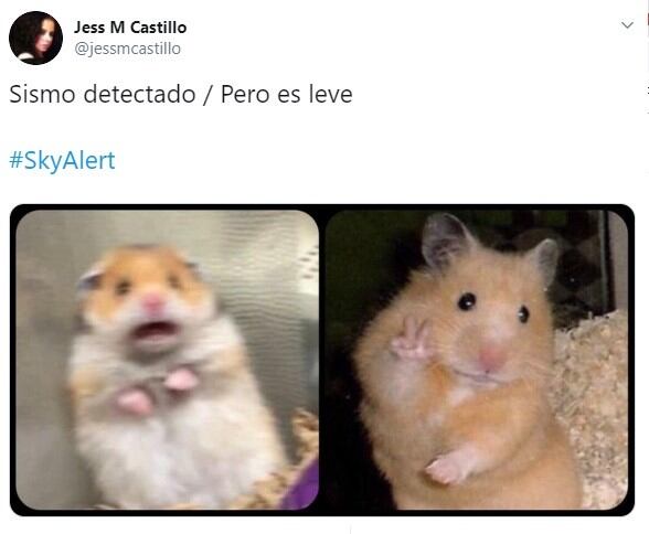 Algunos de los memes que circularon por las redes tras el sismo.