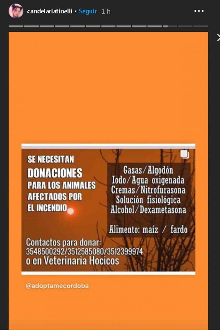 Cande Tinelli compartió historias sobre los incendios en Córdoba.