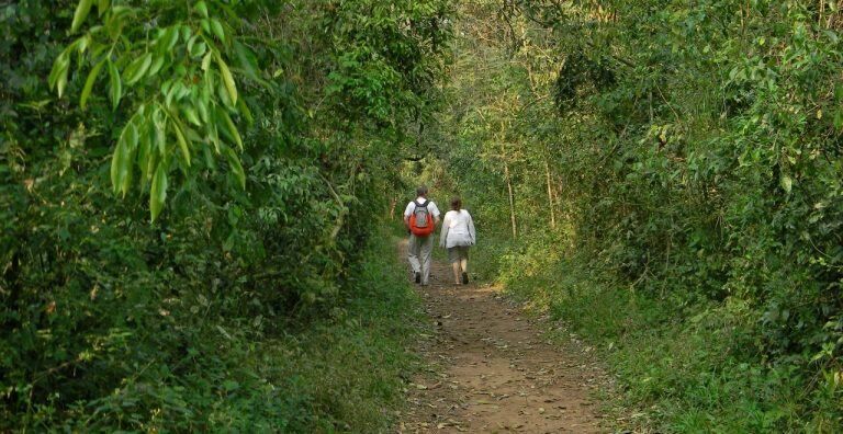 Sendero Macuco