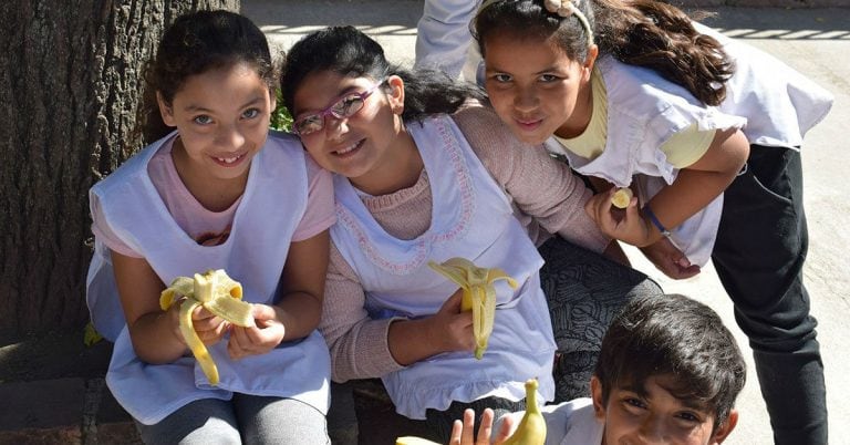 Más de 2500 equipos participantes en Fruteá Tu Escuela.