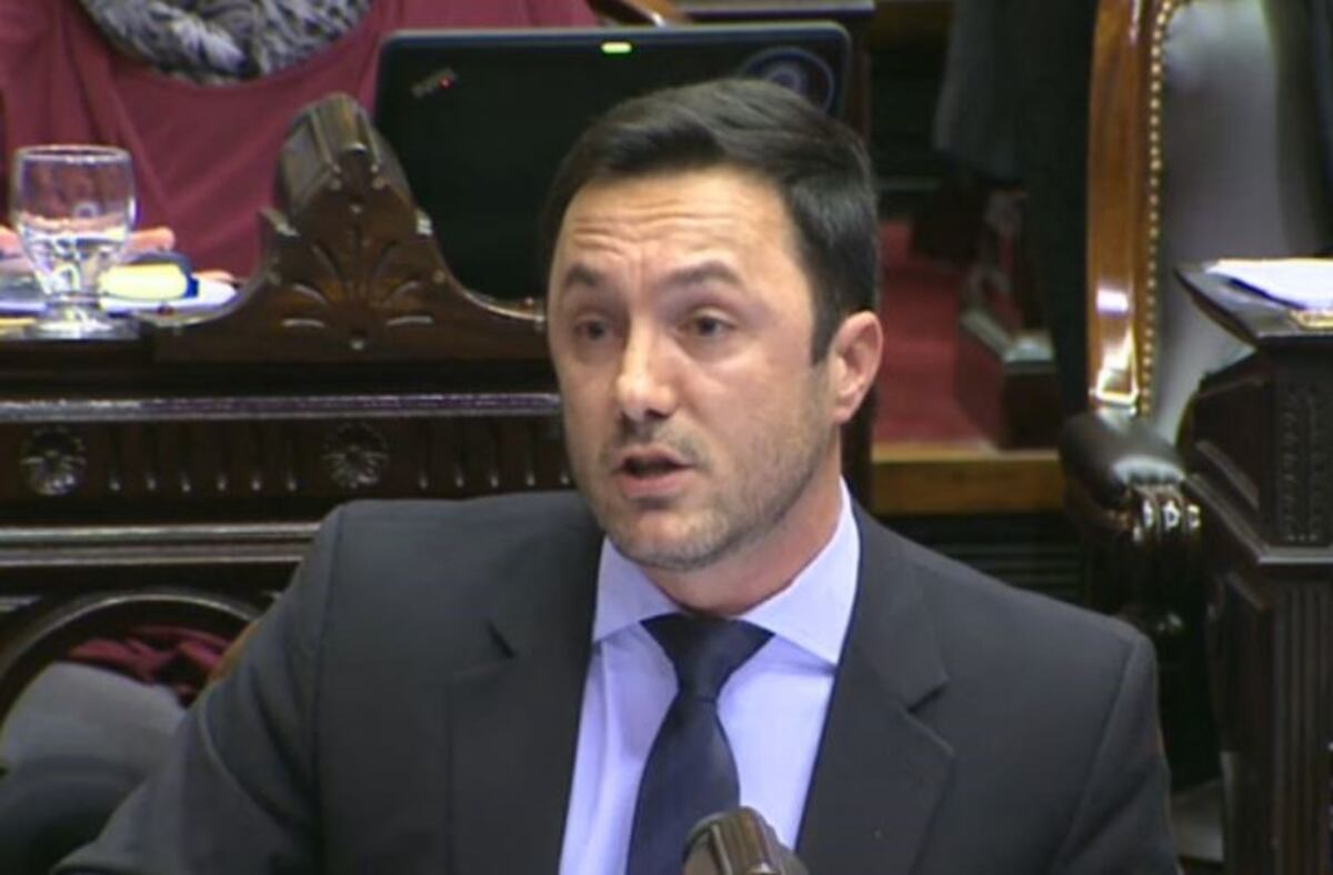 Petri, sobre Pichetto: "Es una muy buena decisión para ampliar las bases de Cambiemos"