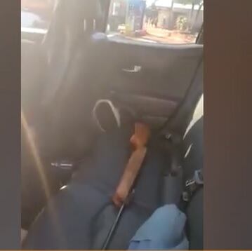 Salto Encantado: escrachan a maltratador de perros.