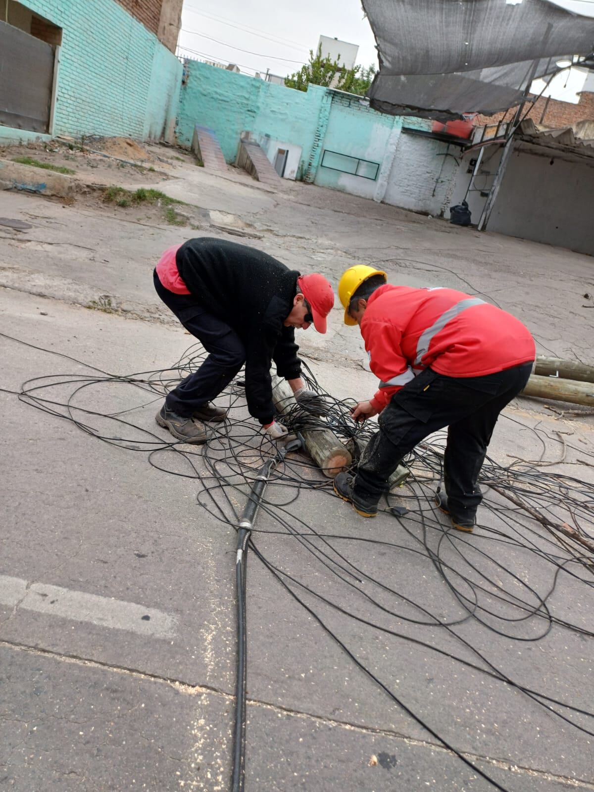 Los trabajos de Defensa Civil de la Municipalidad este lunes tras los fuertes vientos que llegaron a Córdoba. (Municipalidad de Córdoba)