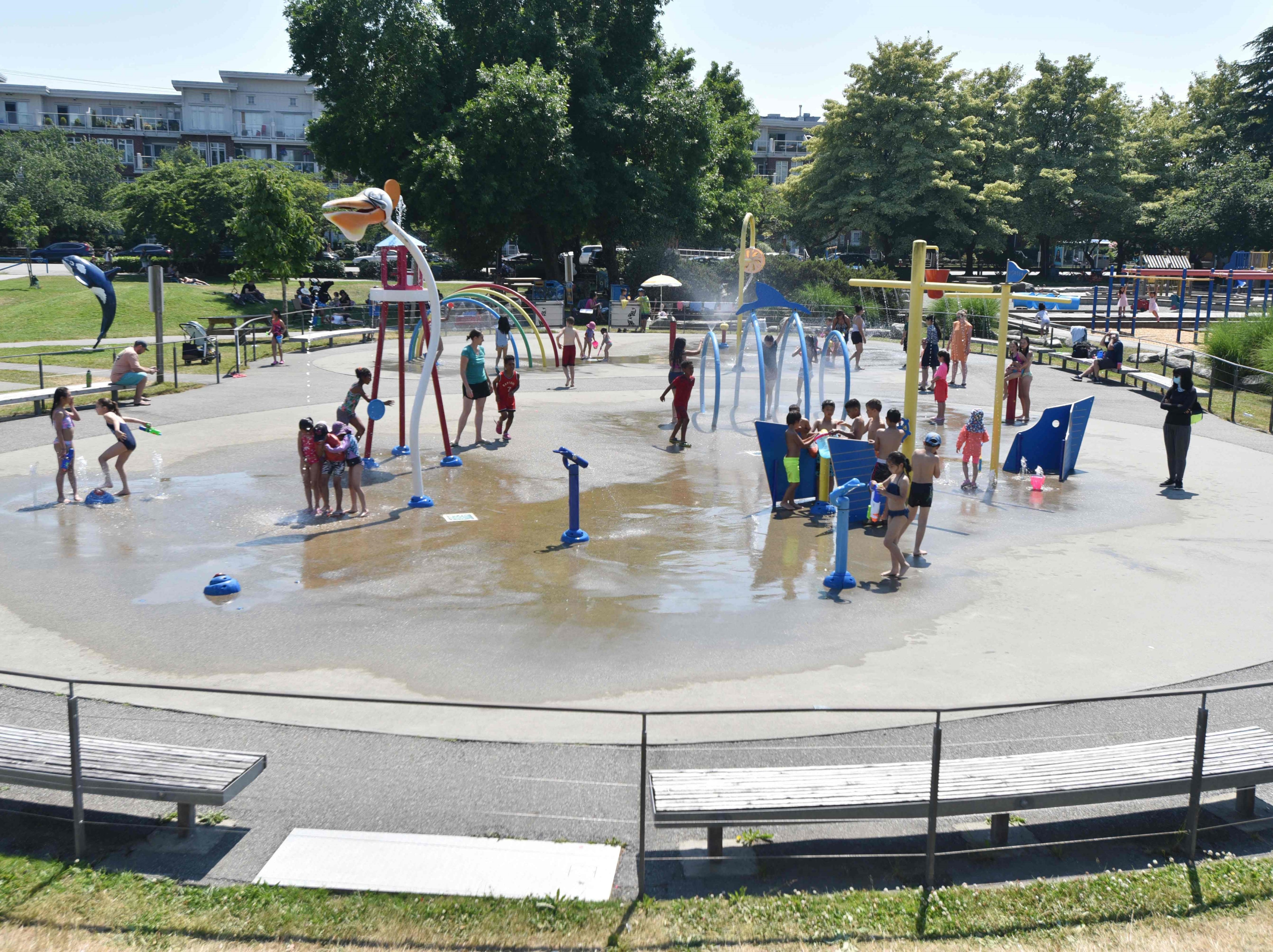 Ola de calor en Canadá (Foto: Don MacKinnon / AFP)