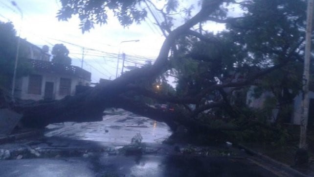 Tormentas en Paraná.