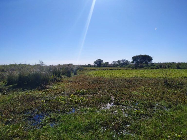 Vía Rosario cruzó la isla y transmitió en vivo desde la reserva Los Tres Cerros