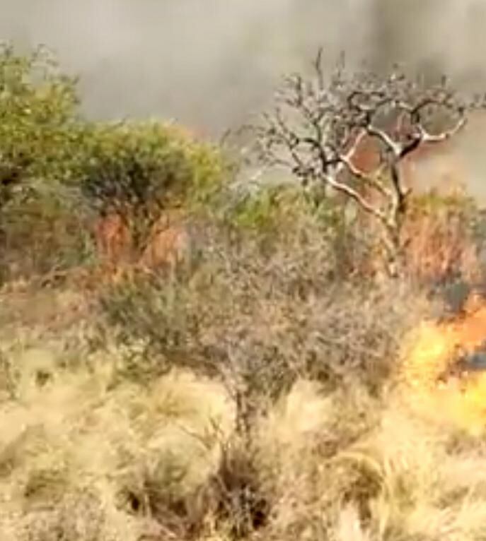 Incendios en Ambul