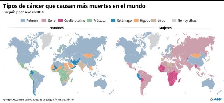 Los tipos de cáncer que causan más muertes en el mundo en 2018 - AFP / AFP